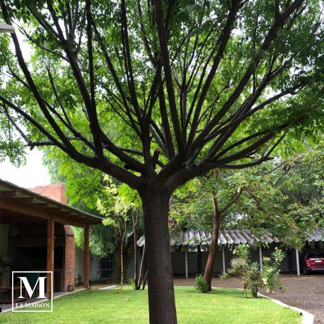 La Maison Gerber Río Colorado Exterior foto